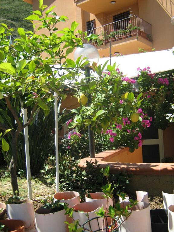 Апартаменты Terrazza Mimosa Чефалу Экстерьер фото