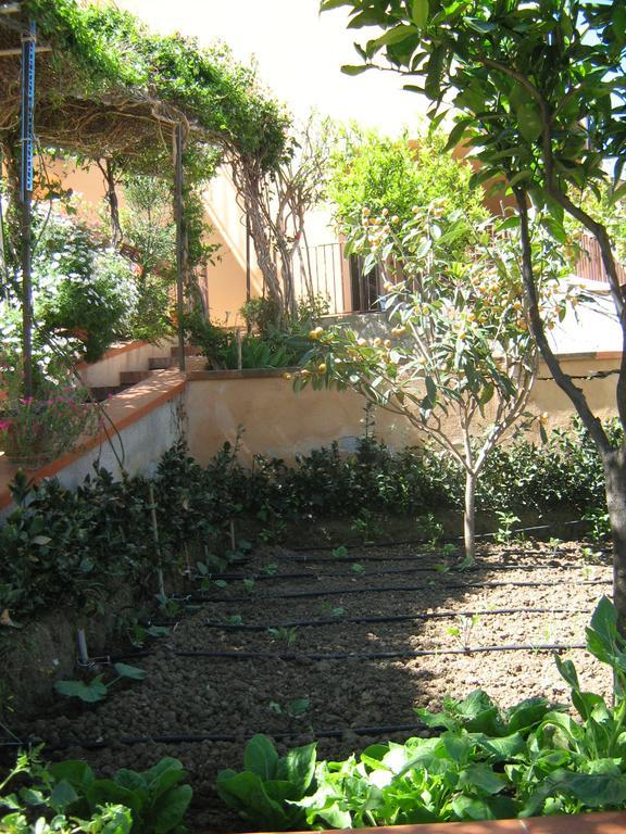 Апартаменты Terrazza Mimosa Чефалу Экстерьер фото